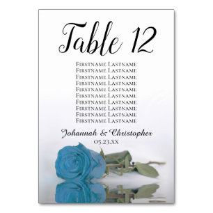 Elegant Turquoise Blue Roos Seating Chart Wedding Kaart