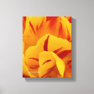 Elegant Two-Tone Red Gold Monsella Tulip Canvas Afdruk