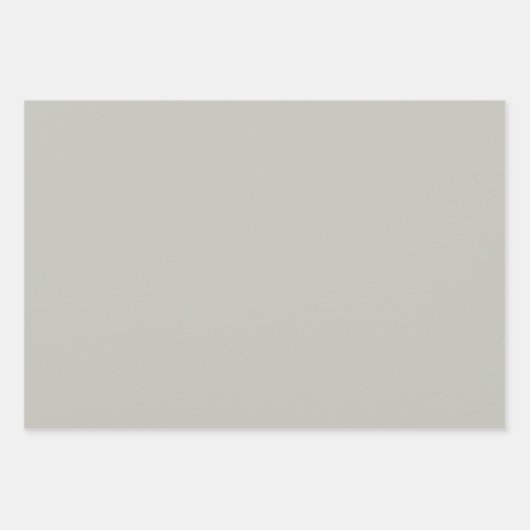 Elegant verfijnd salie Minimalistisch en chic Inpakpapier Vel (Voorkant 2)