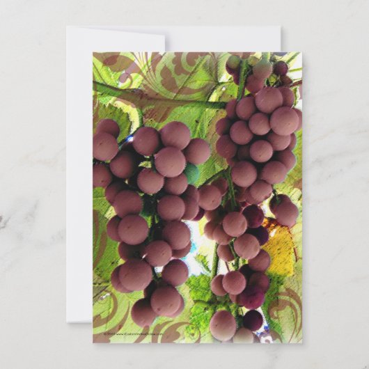 Élégant Vignoble Violet/Vert Photo Save the Date (Dos)