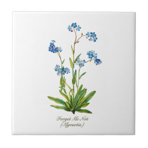 Elegant Vintage Botanisch vergeet me niet te bloed Tegeltje