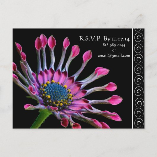 Élégant violet Exotic Daisy Faire-part de mariage (Dos)