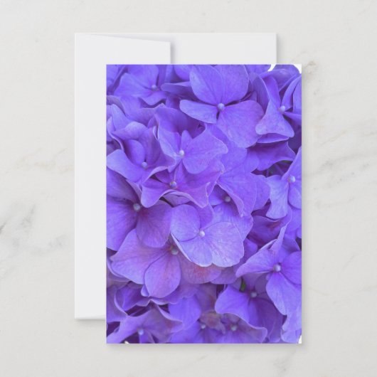 Élégant violet fleuri Hydrangeas Lavender RSVP (Dos)
