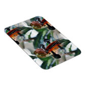 Elegant Violin Scroll Magneet (Rechterzijde)