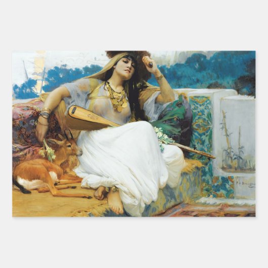 Elegant Vrouw Meisje Decoupage Inpakpapier Vel (Voorkant)