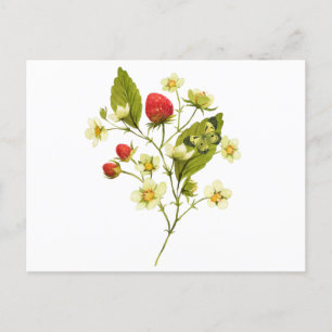 Elegant Waterverf aardbei Plant met bloemen Briefkaart