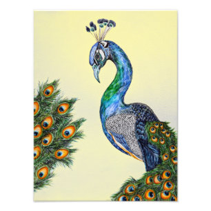 Elegant Waterverf Peacock Yellow Foto Afdruk