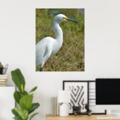 Elegant white Egret bird Poster (Thuiskantoor)