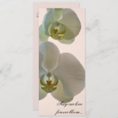 Elegant White Orchids over roze bruiloft Programma (Voorkant / Achterkant)
