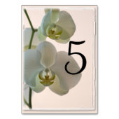 Elegant White Orchids Table Numbers Kaart (Achterkant)
