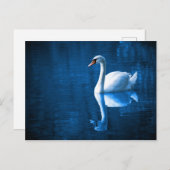 Elegant White Swan Briefkaart (Voorkant / Achterkant)