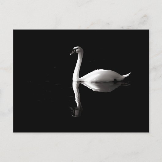 Elegant White Swan Reflection op Black Lake Briefkaart (Voorkant)