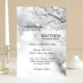 Elegant Winter Wonderland Sneeuwvlokken WEDING Kaart