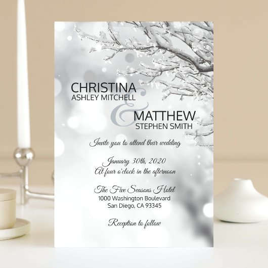 Elegant Winter Wonderland Sneeuwvlokken WEDING Kaart