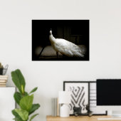 Elegant witte pauw  vogel rustige foto poster (Thuiskantoor)