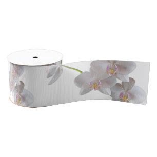 Elegant witte roze orchideeën op elke kleur grosgrain lint