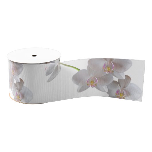 Elegant witte roze orchideeën op elke kleur grosgrain lint (Spoel)