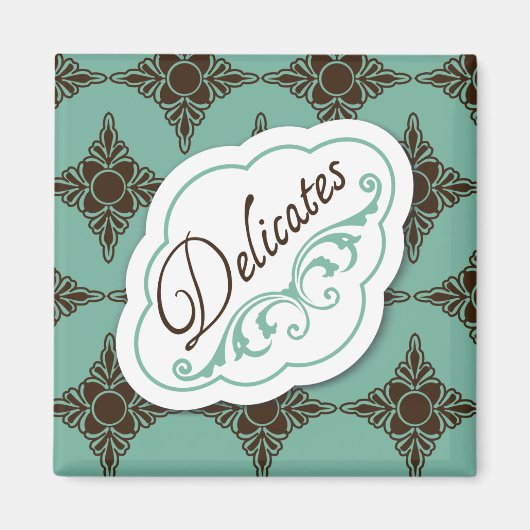 Elegant ziet "Delicates" waslabel Magnet Magneet (Voorkant)