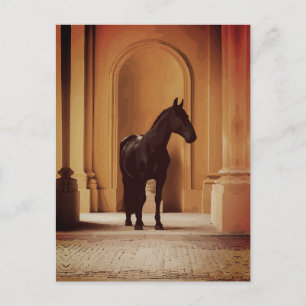 Elegant zwart paard in gouden boog briefkaart