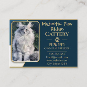Elegante Aangepaste Maine Coon Fokkerij Bedrijfska Visitekaartje