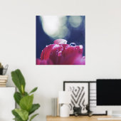 Elegante Abstracte regendruppels op roze ventilato Poster (Thuiskantoor)