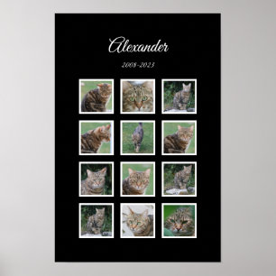 Élégante affiche pour animaux de compagnie noirs a