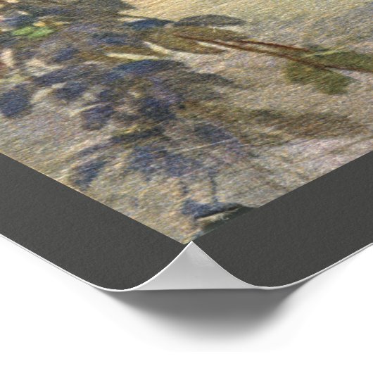 Elégante affiche vintage de paon (Coin)