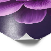 Elegante Anemoon Foto Afdruk (Hoek)