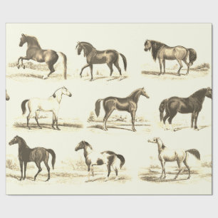 Elegante Beige Cream Toile Horse rassen Cadeaupapier
