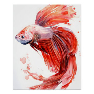Elegante Betta Vis – Waterverf Print Siamees Perfect Poster