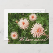 Elegante bewegende briefkaarten met Chrysanthemum (Voorkant / Achterkant)