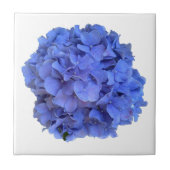 Elegante Blauwe maagdenpalm florale hortensia's Tegeltje (Voorkant)