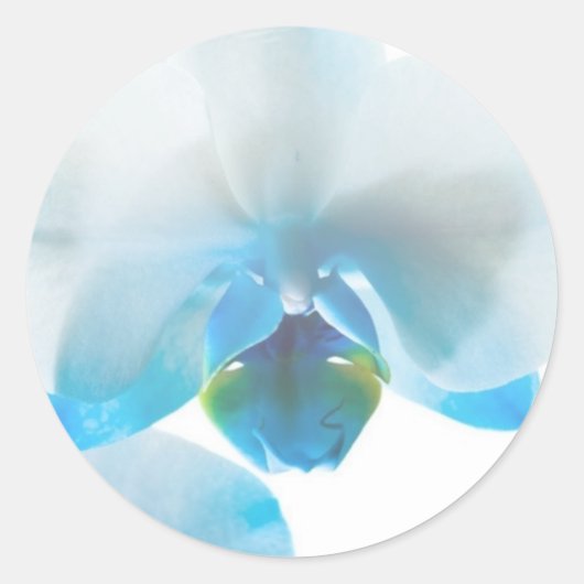 Elegante Blauwe Orchideeën Aangepaste Stickers (Voorkant)