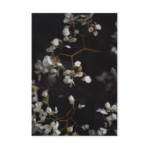 Elegante bloemenfoto en aangepaste naam