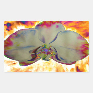 Elegante boho abstracte waterverf orchidee schilde rechthoekige sticker