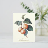 Elegante botanische abrikoos briefkaart (Staand voorkant)
