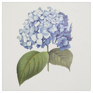 Elegante Botanische Blauwe Hydrangea Bloem Stof