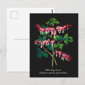 Elegante  Botanische Bloedende Hartbloem Briefkaart (Voorkant / Achterkant)