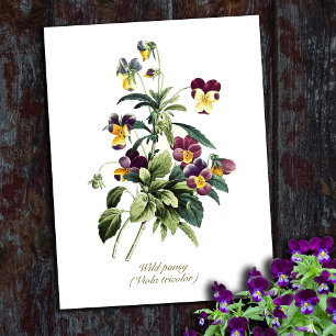 Elegante  Botanische Bloemen Pansy Briefkaart
