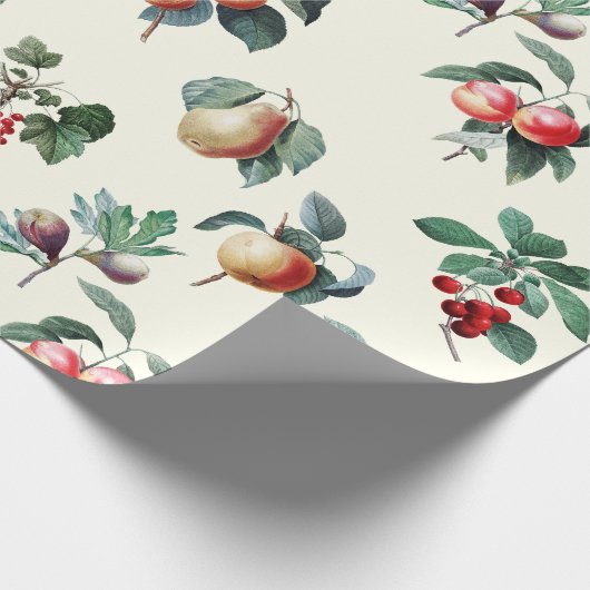 Elegante Botanische Fruit op Wit Cadeaupapier (Hoek)