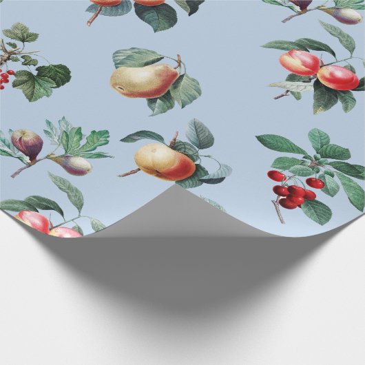 Elegante Botanische Fruit Soft Blue Cadeaupapier (Hoek)
