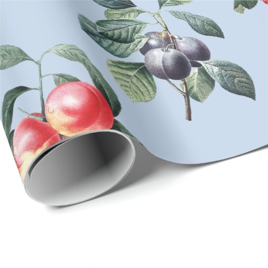 Elegante Botanische Fruit Soft Blue Cadeaupapier (Rol Hoek)