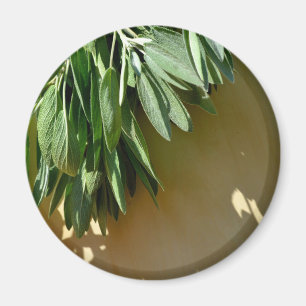 Elegante botanische groene kruiden bladeren salie magneet
