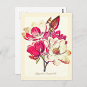 Elegante Botanische Magnolia Roze Bloemen Briefkaart (Voorkant / Achterkant)
