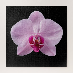 Elegante Botanische Orchideeën Collectie Poster Legpuzzel