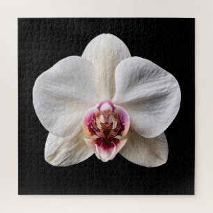 Elegante Botanische Orchideeën Collectie Poster Legpuzzel