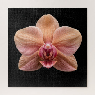Elegante Botanische Orchideeën Collectie Poster Legpuzzel