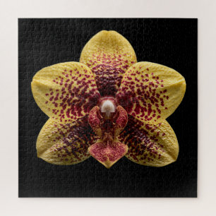 Elegante Botanische Orchideeën Collectie Poster Legpuzzel