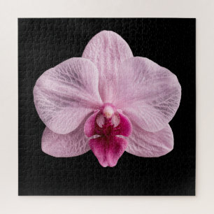 Elegante Botanische Orchideeën Collectie Poster Legpuzzel