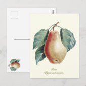 Elegante botanische  perenvrucht briefkaart (Voorkant / Achterkant)